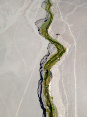 Salado River near Calama in the north of Chile - a crack with fresh water, lush green vegetation...