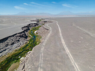 Fototapeta na wymiar Salado River near Calama in the north of Chile - a crack with fresh water, lush green vegetation and even trouts crossing the otherwise bone dry Atacama desert - what a spectacular surprise by nature