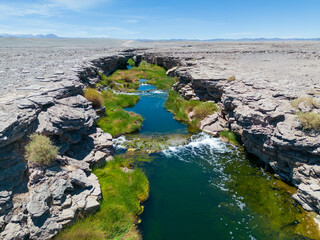 Salado River near Calama in the north of Chile - a crack with fresh water, lush green vegetation...