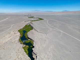 Fototapeta premium Salado River near Calama in the north of Chile - a crack with fresh water, lush green vegetation and even trouts crossing the otherwise bone dry Atacama desert - what a spectacular surprise by nature