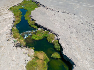 Salado River near Calama in the north of Chile - a crack with fresh water, lush green vegetation and even trouts crossing the otherwise bone dry Atacama desert - what a spectacular surprise by nature