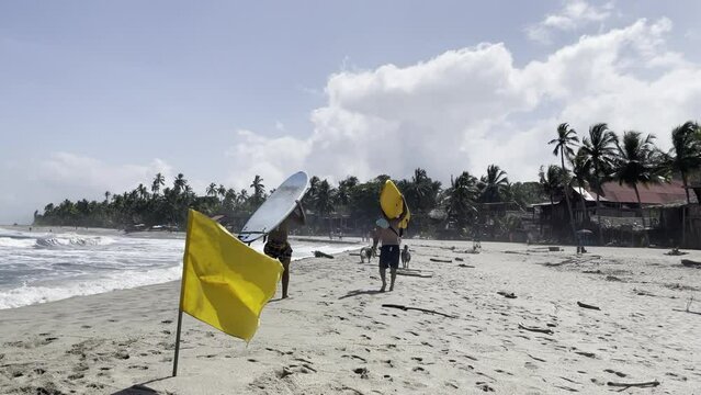 Surfistas caminando en la playa