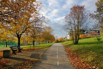 Fototapeta na wymiar A bicycle path in autumn in a housing estate near the park