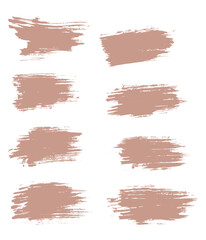 Collection of wheat isolated hand drawn brush stroke