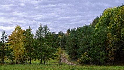 Jesień, kolorowe drzewa przy polnej drodze. Pożółkłe liście, k9olory jesieni. Żółty jesienny liść. - obrazy, fototapety, plakaty