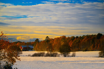 Snowcovered fields and autumn leaves on the trees