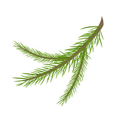  Branch of a Christmas tree, isolated on a white background, for the design of your projects. Vector illustration
