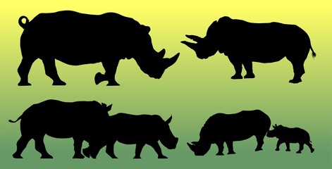 animal, silueta, rinocerontes