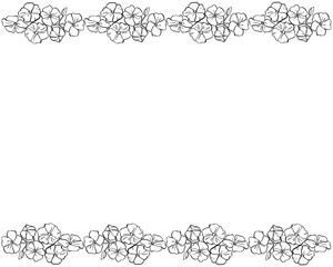 Horizontal floral frame pattern. Leaf Border. Vector illustration. Hand drawn flowers.
