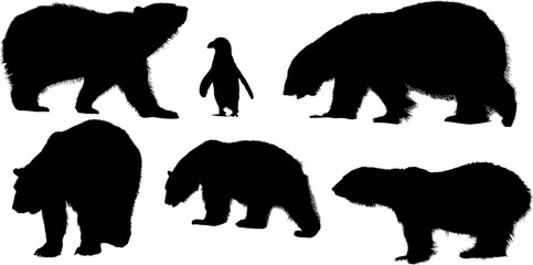 osos, animal, silueta, vector, ilustración