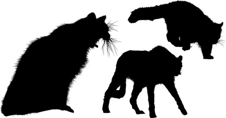 silueta, animal © fergomez