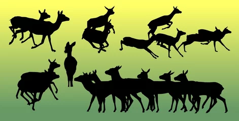 Poster ciervo, animal, silueta, vector © fergomez