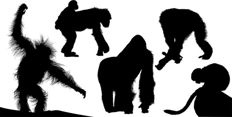 chango, gorila, orangutan
