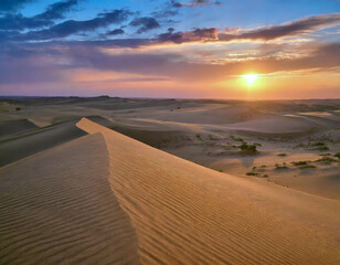 Fototapeta na wymiar Sunset Over the Desert Dunes
