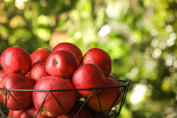Ripe red apples in bowl on blurred background, closeup