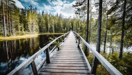National Park with pine forest