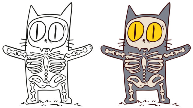 Cartoon funny Halloween x ray skeleton cat with bones. Hand drawn vector postcard for coloring.