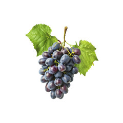 Fototapeta premium grapes isolated transparent background