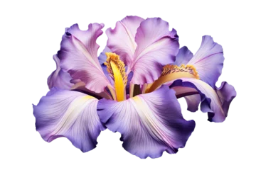 Stoff pro Meter blossoming iris flower close-up, isolated on a transparent background. PNG, cutout, or clipping path. © Transparent png