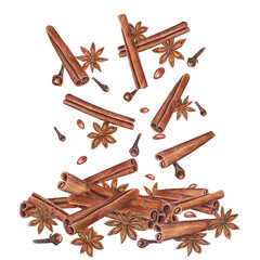 Cinnamons sticks, star anise, dried cloves. Badian, seeds. Winter aromatic spices for hot drinks and Xmas baking. Botanical watercolor illustration for package design, label, logo