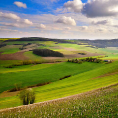 Naklejka premium Vibrant Nature Scenery on Full Display