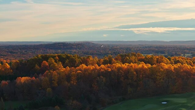 Yellow Trees and an autumn landscape from an aerial view