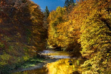 Fototapeta na wymiar Die schöne Farbenfrohe Herbstnatur in Bayern 