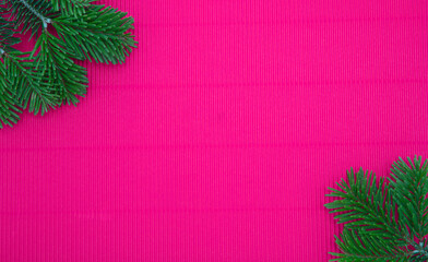 Christmas greeting card template, Fresh fir twig on pink purple color background, copy space.