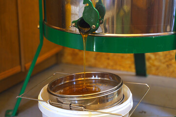 The beekeeper opens the honey extractor valve and the honey flows out of the extractor onto the...