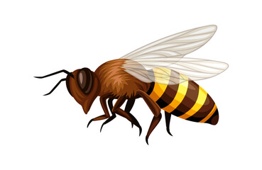 Cute bee vector sticker