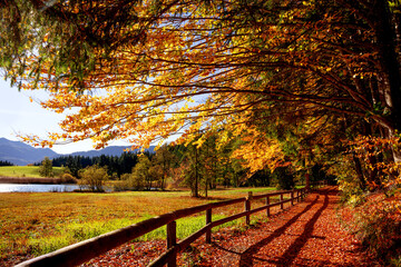 Herbstlandschaft mit buntem Laubwald