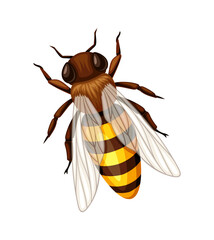 Cute bee vector sticker