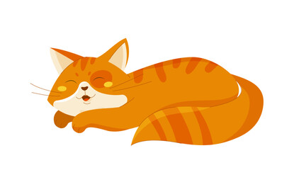 Cute orange cat vector