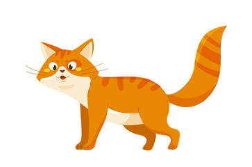 Cute orange cat vector