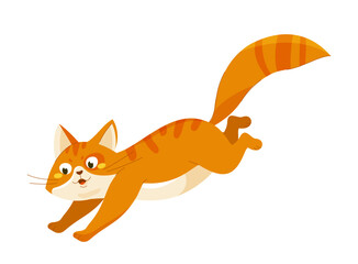 Cute orange cat vector