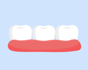 Healthy Clean Teeth and Gums of Lower Jaw Vector illustration for Dental Care