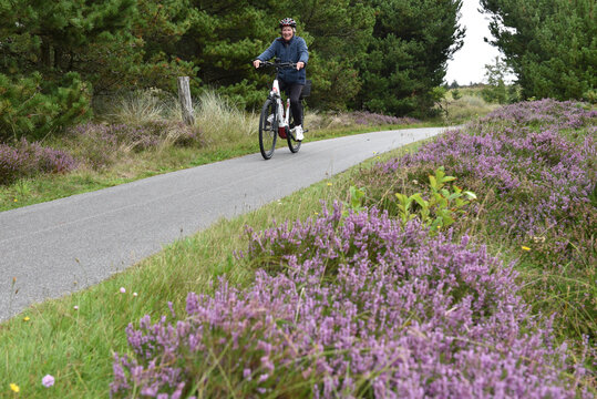 Fahrrad fahren in D&auml;nemark 