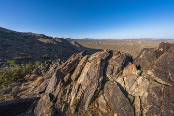 hiking the lost horse mine loop trail in joshua tree national park, california, usa