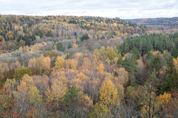 The mountain autumn landscape with colorful forest
