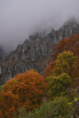 Mountain Autumn 
