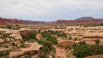 Fototapeta na wymiar Scenic red rock landscape along Rt. 95 through Fry Canyon, Utah