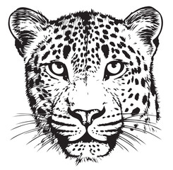 Leopard head sketch hand drawn Vector illustration Wild animals © BigJoy