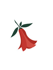  Lapageria, Chilean bellflower or copihue doodle icon, vector illustration. Spring colorful flower