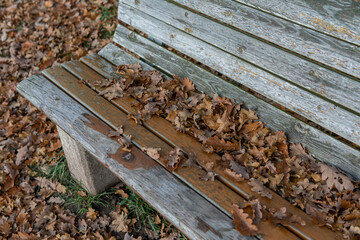 A wooden bench covered with autumnal fallen leaves. Symbol of autumn. 
