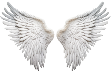 Realistic angel wings. White wing, isolated on a transparent background. PNG, cutout, or clipping path.