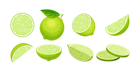 Citrus slices vector set