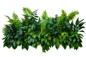 Tropical leaves foliage plant bush floral arrangement (Areca palm, Philodendron, Swiss cheese ,Bamboos) isolated on a transparent background. PNG, cutout, or clipping path. - obrazy, fototapety, plakaty