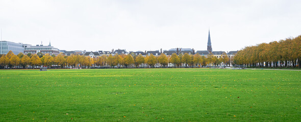 Panoramic view of beautiful golden trees around city park 