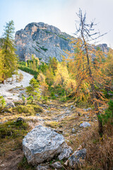 Larch forest and scree slope in the Dolomite Mountains, Italy. In the background the mountain 