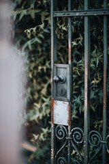 an old metal gate surrounded by greenery
